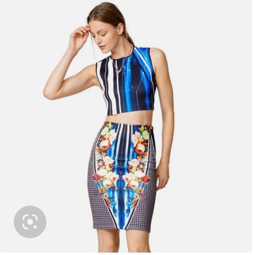 Clover canyon top and skirt